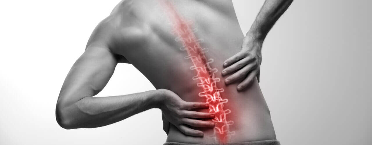 Anatomy of chronic back pain